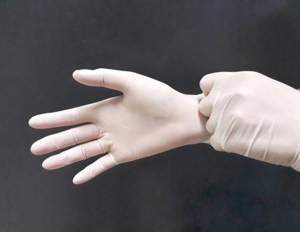 Cleanroom Disposable Gloves Market