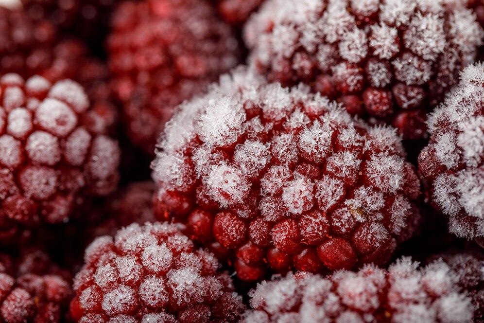 frozen fruits market