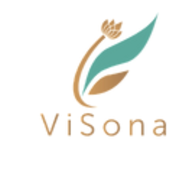 Visona LLC