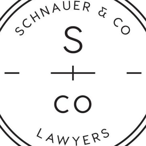 Schnauer Lawyer