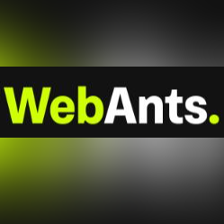 Web Ants