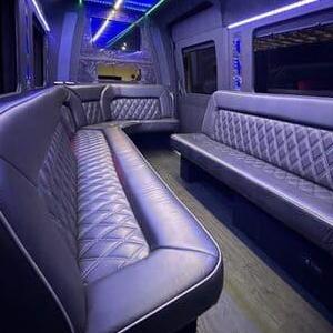 Pitt Party Bus