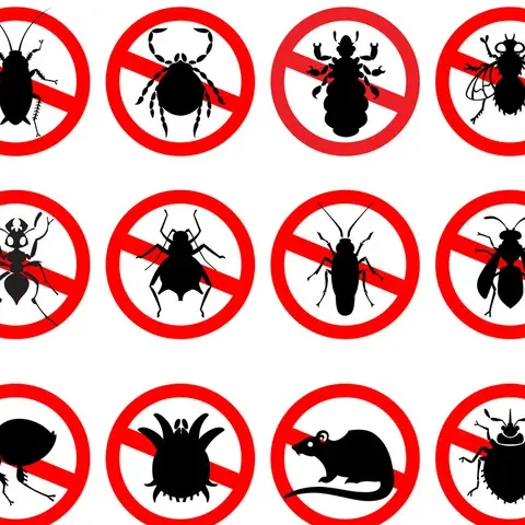 Telos Pest Toronto