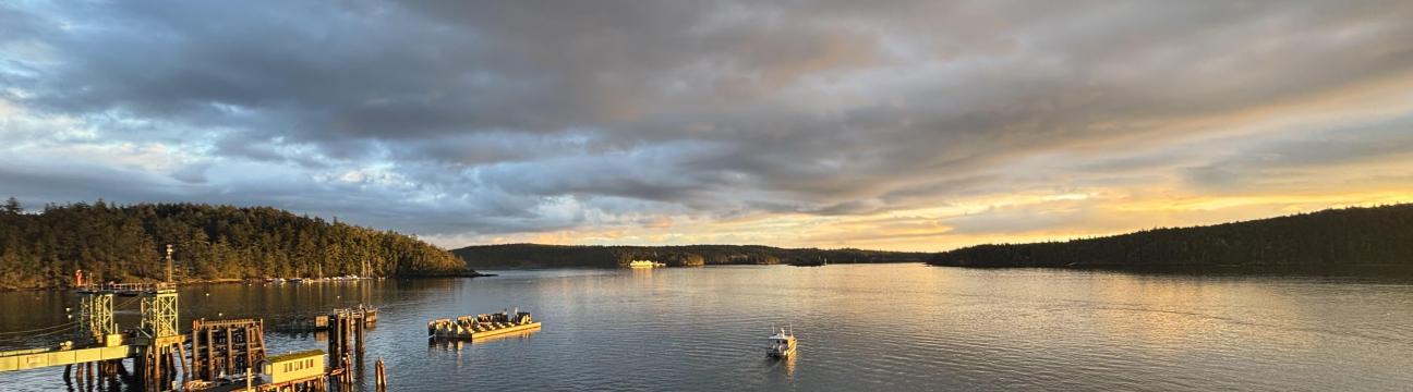 The Landing At Orcas
