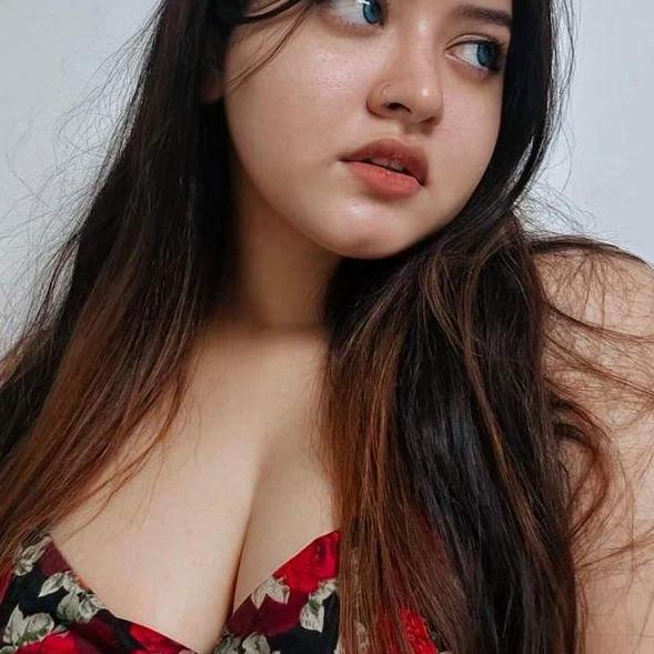Delhi Hotel  Escorts Service