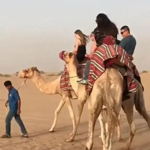 Dubai Desert Safari Price