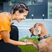 LaPet India | Pet Shop In Lucknow