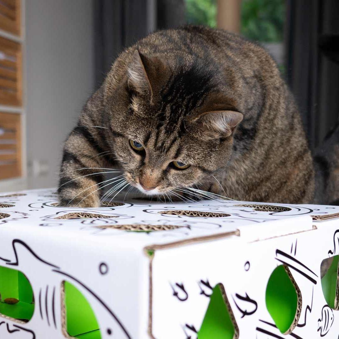 Cat Amazing Puzzle Feeder