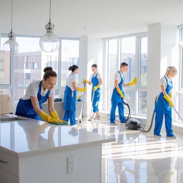 Alpinecleaning Services