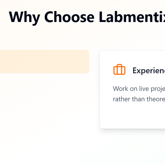 Labmentix Labmentix